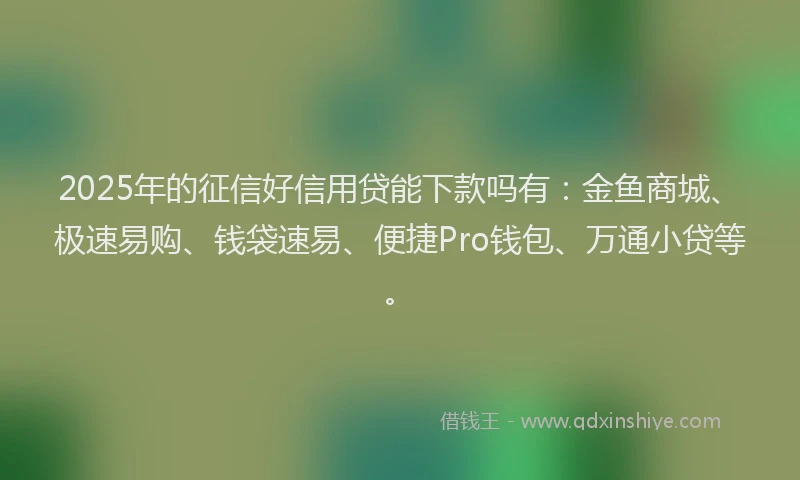2025年的征信好信用贷能下款吗有：金鱼商城、极速易购、钱袋速易、便捷Pro钱包、万通小贷等。
