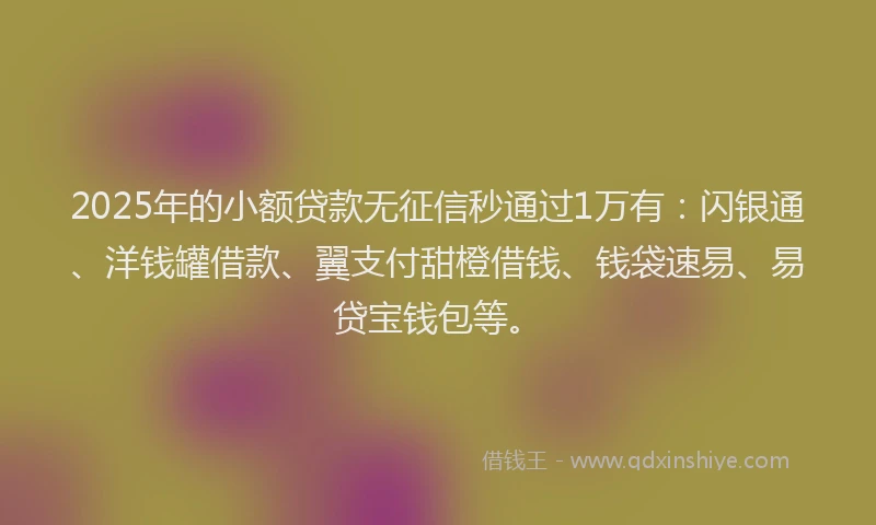 2025年的小额贷款无征信秒通过1万有：闪银通、洋钱罐借款、翼支付甜橙借钱、钱袋速易、易贷宝钱包等。