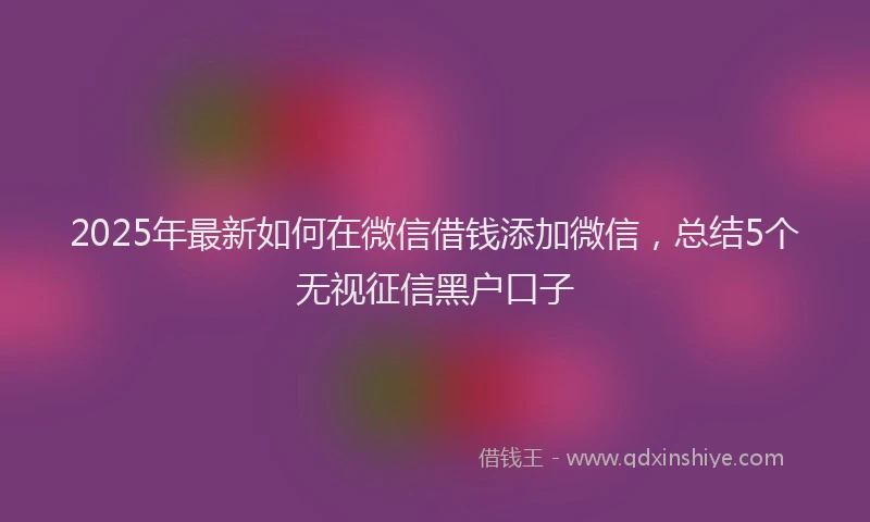 2025年最新如何在微信借钱添加微信，总结5个无视征信黑户口子