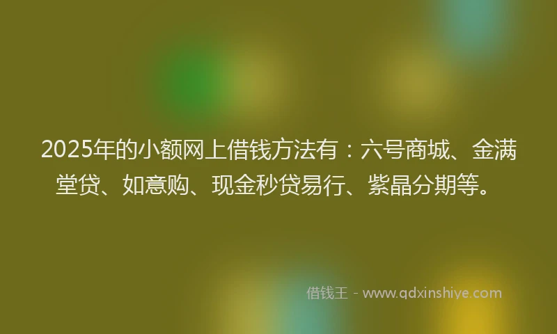 2025年的小额网上借钱方法有：六号商城、金满堂贷、如意购、现金秒贷易行、紫晶分期等。