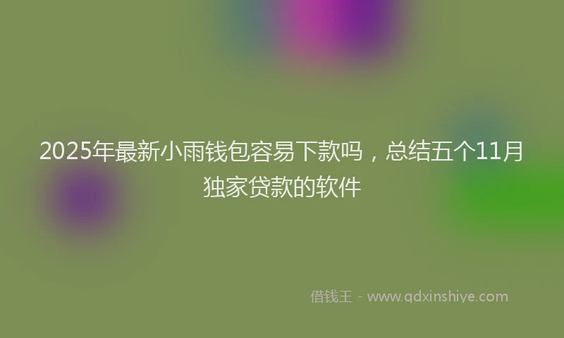 2025年最新小雨钱包容易下款吗，总结五个11月独家贷款的软件