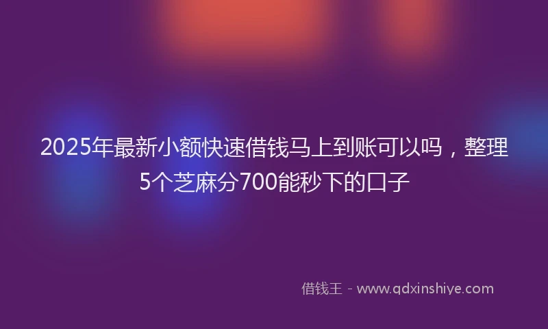 2025年最新小额快速借钱马上到账可以吗，整理5个芝麻分700能秒下的口子