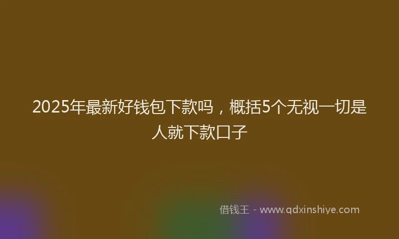 2025年最新好钱包下款吗，概括5个无视一切是人就下款口子