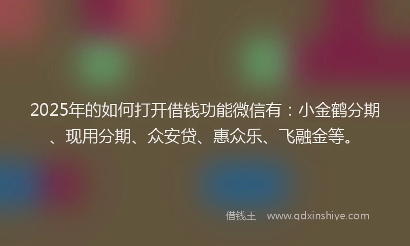 2025年的如何打开借钱功能微信有：小金鹤分期、现用分期、众安贷、惠众乐、飞融金等。