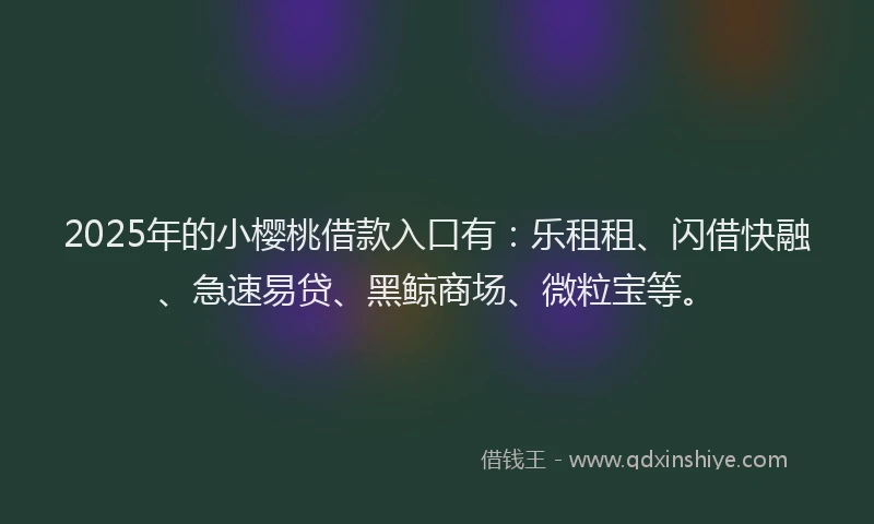 2025年的小樱桃借款入口有：乐租租、闪借快融、急速易贷、黑鲸商场、微粒宝等。