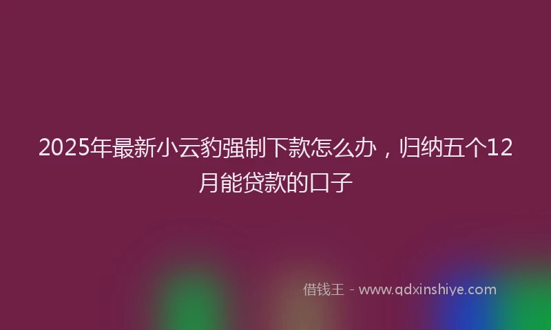 2025年最新小云豹强制下款怎么办，归纳五个12月能贷款的口子