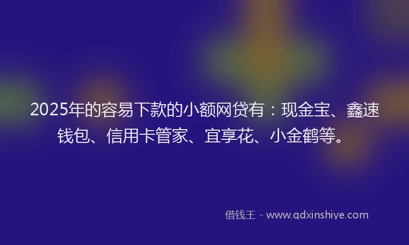 2025年的容易下款的小额网贷有：现金宝、鑫速钱包、信用卡管家、宜享花、小金鹤等。