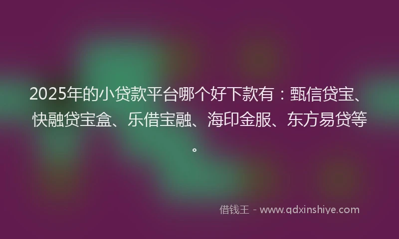 2025年的小贷款平台哪个好下款有：甄信贷宝、快融贷宝盒、乐借宝融、海印金服、东方易贷等。