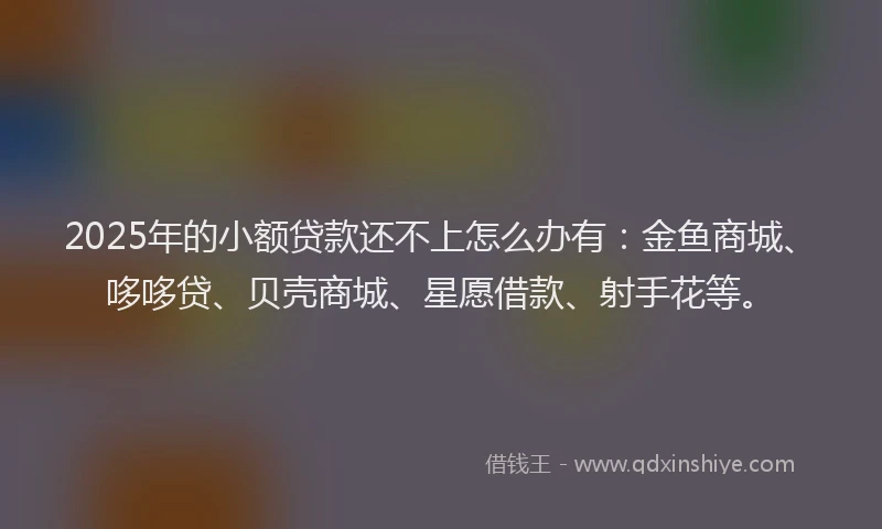 2025年的小额贷款还不上怎么办有：金鱼商城、哆哆贷、贝壳商城、星愿借款、射手花等。