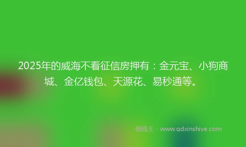 2025年的威海不看征信房押有：金元宝、小狗商城、金亿钱包、天源花、易秒通等。