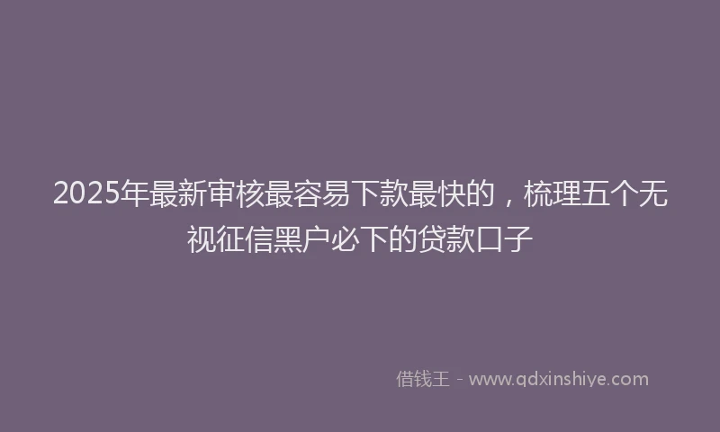 2025年最新审核最容易下款最快的，梳理五个无视征信黑户必下的贷款口子