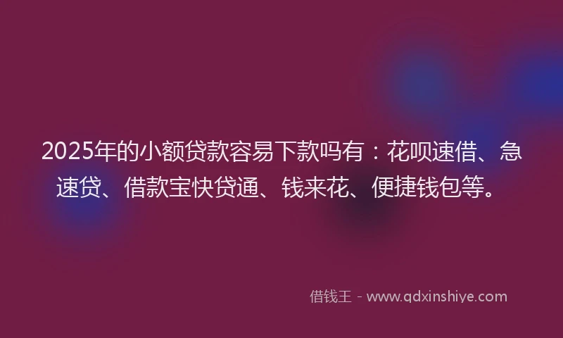 2025年的小额贷款容易下款吗有：花呗速借、急速贷、借款宝快贷通、钱来花、便捷钱包等。
