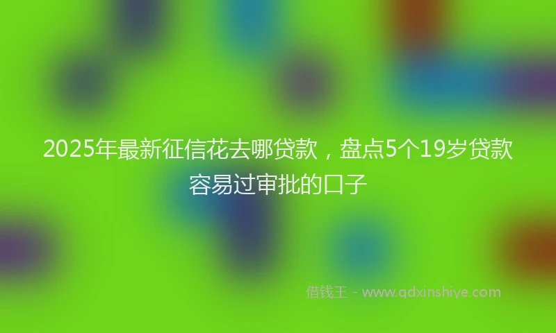 2025年最新征信花去哪贷款，盘点5个19岁贷款容易过审批的口子