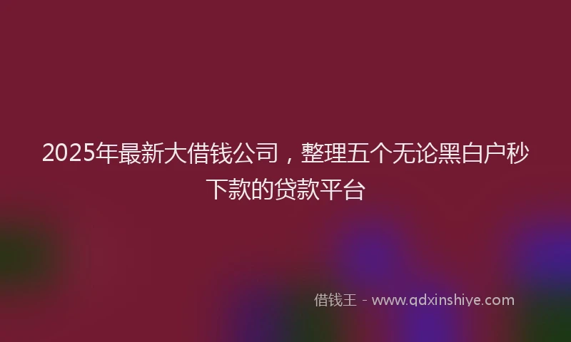 2025年最新大借钱公司，整理五个无论黑白户秒下款的贷款平台