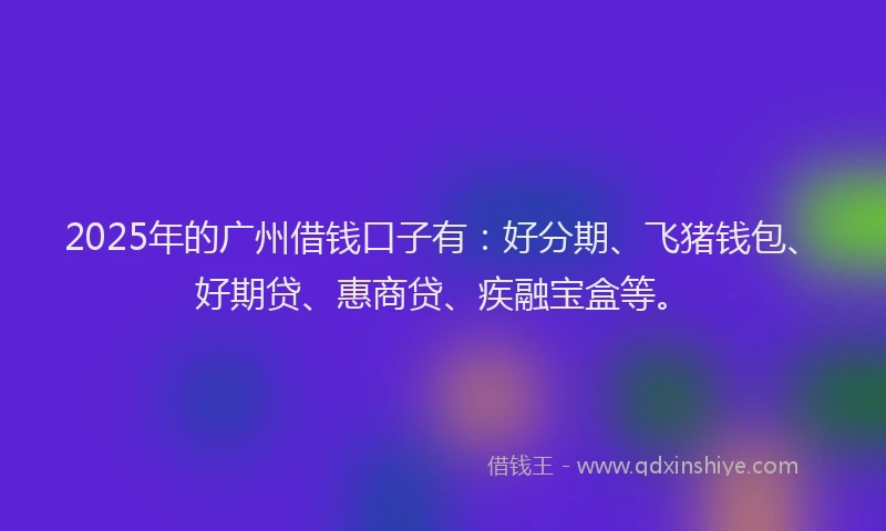 2025年的广州借钱口子有：好分期、飞猪钱包、好期贷、惠商贷、疾融宝盒等。