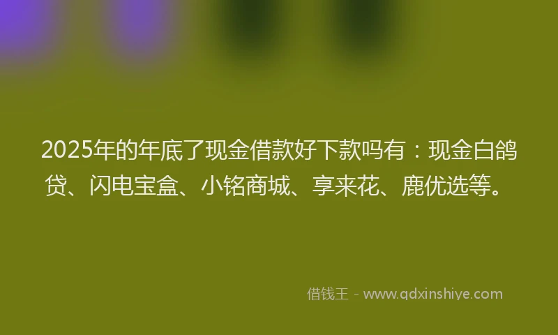 2025年的年底了现金借款好下款吗有：现金白鸽贷、闪电宝盒、小铭商城、享来花、鹿优选等。