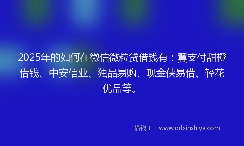 2025年的如何在微信微粒贷借钱有：翼支付甜橙借钱、中安信业、独品易购、现金侠易借、轻花优品等。