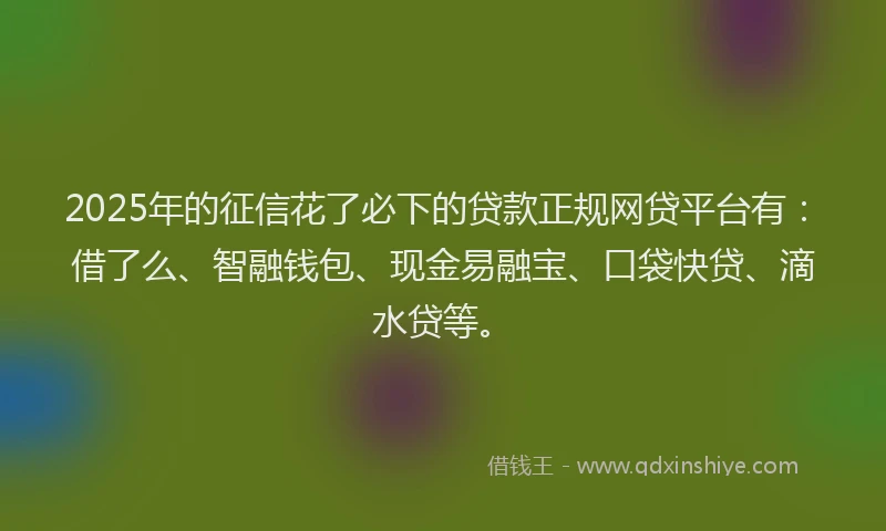 2025年的征信花了必下的贷款正规网贷平台有：借了么、智融钱包、现金易融宝、口袋快贷、滴水贷等。