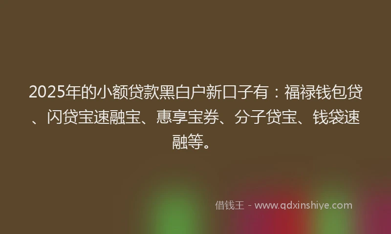 2025年的小额贷款黑白户新口子有：福禄钱包贷、闪贷宝速融宝、惠享宝券、分子贷宝、钱袋速融等。