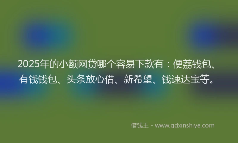 2025年的小额网贷哪个容易下款有：便荔钱包、有钱钱包、头条放心借、新希望、钱速达宝等。