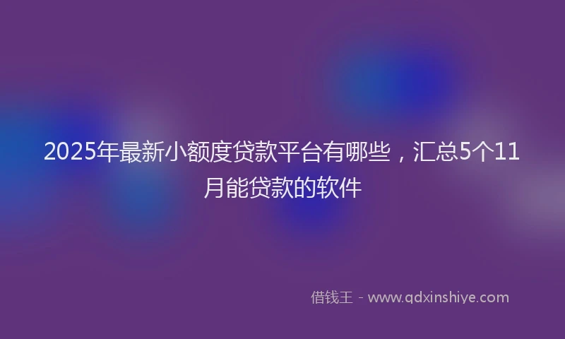 2025年最新小额度贷款平台有哪些，汇总5个11月能贷款的软件
