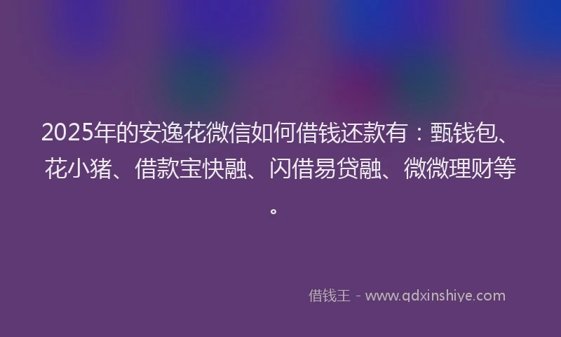 2025年的安逸花微信如何借钱还款有：甄钱包、花小猪、借款宝快融、闪借易贷融、微微理财等。
