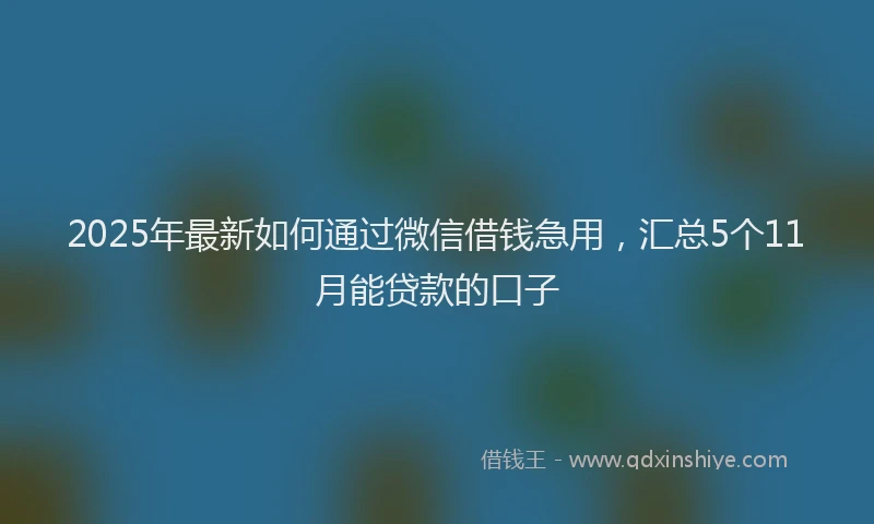 2025年最新如何通过微信借钱急用，汇总5个11月能贷款的口子