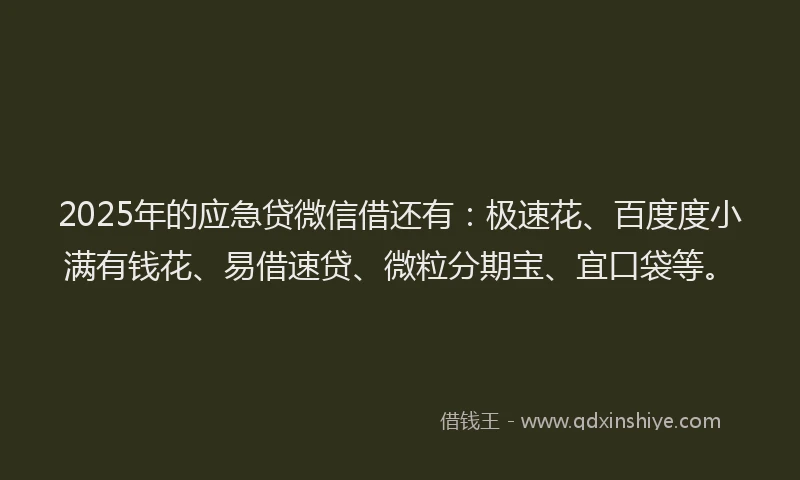 2025年的应急贷微信借还有：极速花、百度度小满有钱花、易借速贷、微粒分期宝、宜口袋等。