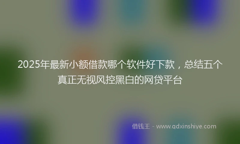 2025年最新小额借款哪个软件好下款，总结五个真正无视风控黑白的网贷平台
