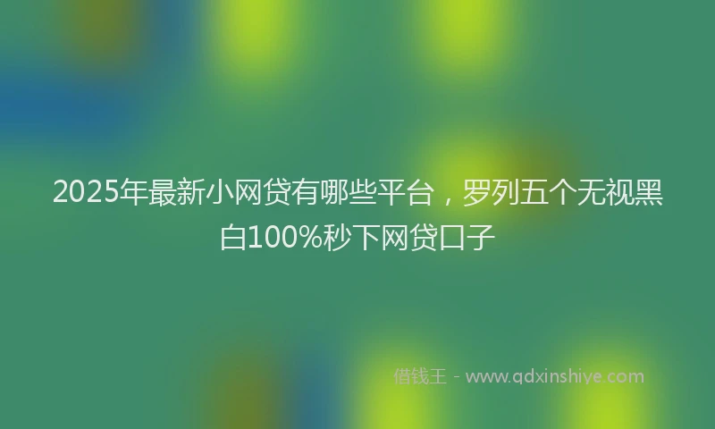 2025年最新小网贷有哪些平台，罗列五个无视黑白100%秒下网贷口子