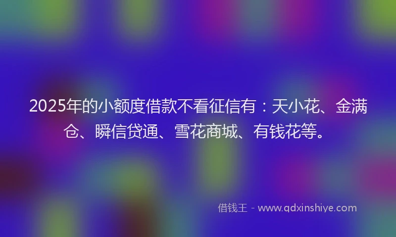 2025年的小额度借款不看征信有：天小花、金满仓、瞬信贷通、雪花商城、有钱花等。