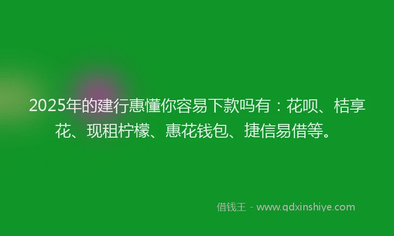2025年的建行惠懂你容易下款吗有：花呗、桔享花、现租柠檬、惠花钱包、捷信易借等。