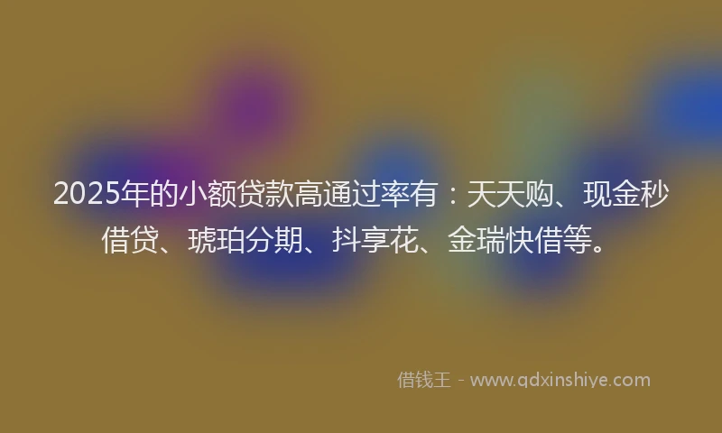 2025年的小额贷款高通过率有：天天购、现金秒借贷、琥珀分期、抖享花、金瑞快借等。