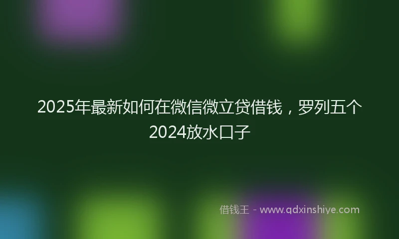 2025年最新如何在微信微立贷借钱，罗列五个2024放水口子
