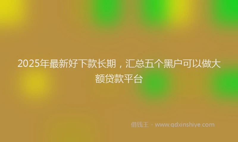 2025年最新好下款长期，汇总五个黑户可以做大额贷款平台