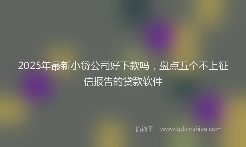 2025年最新小贷公司好下款吗，盘点五个不上征信报告的贷款软件