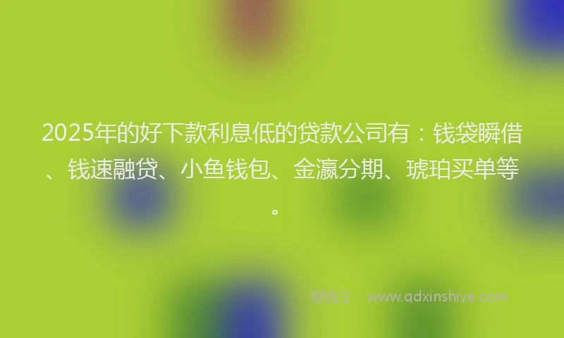 2025年的好下款利息低的贷款公司有：钱袋瞬借、钱速融贷、小鱼钱包、金瀛分期、琥珀买单等。