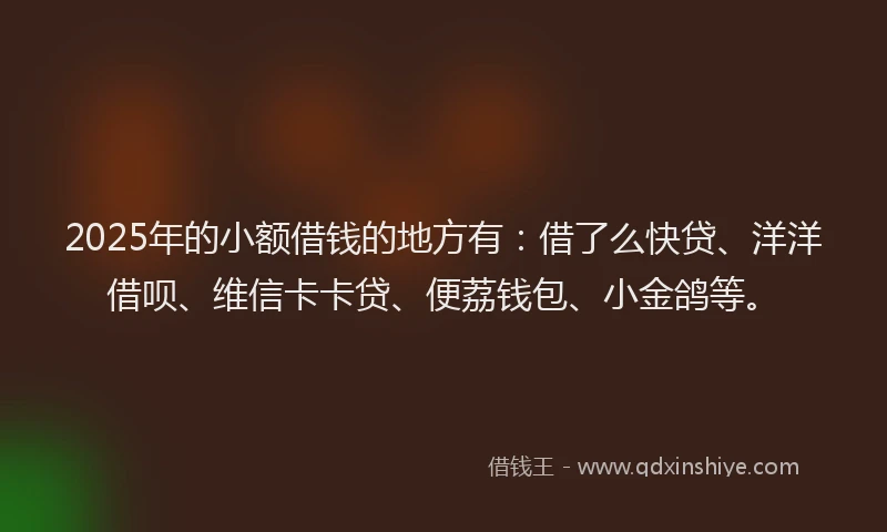 2025年的小额借钱的地方有：借了么快贷、洋洋借呗、维信卡卡贷、便荔钱包、小金鸽等。