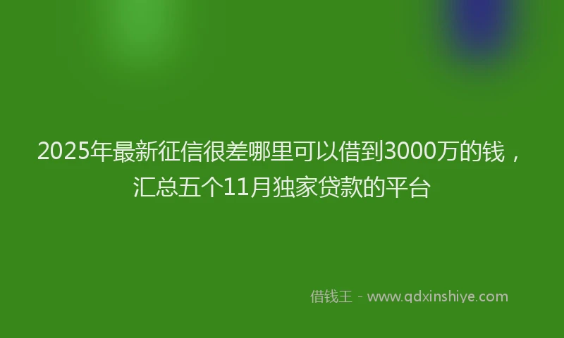 2025年最新征信很差哪里可以借到3000万的钱，汇总五个11月独家贷款的平台