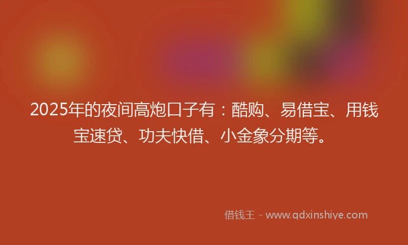 2025年的夜间高炮口子有：酷购、易借宝、用钱宝速贷、功夫快借、小金象分期等。