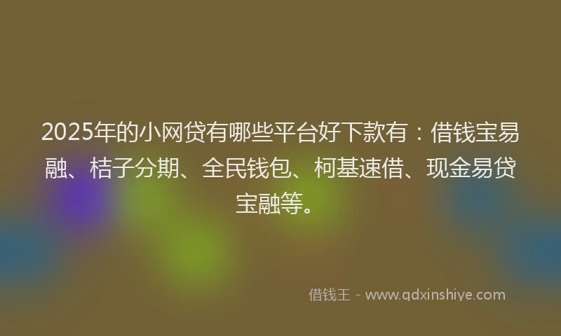 2025年的小网贷有哪些平台好下款有：借钱宝易融、桔子分期、全民钱包、柯基速借、现金易贷宝融等。