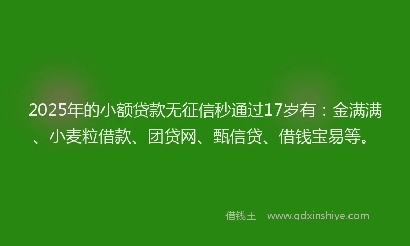 2025年的小额贷款无征信秒通过17岁有：金满满、小麦粒借款、团贷网、甄信贷、借钱宝易等。
