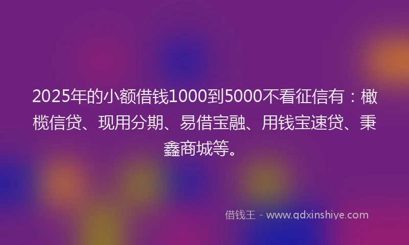 2025年的小额借钱1000到5000不看征信有：橄榄信贷、现用分期、易借宝融、用钱宝速贷、秉鑫商城等。