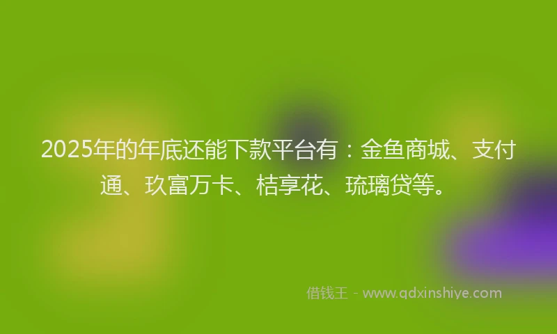 2025年的年底还能下款平台有：金鱼商城、支付通、玖富万卡、桔享花、琉璃贷等。