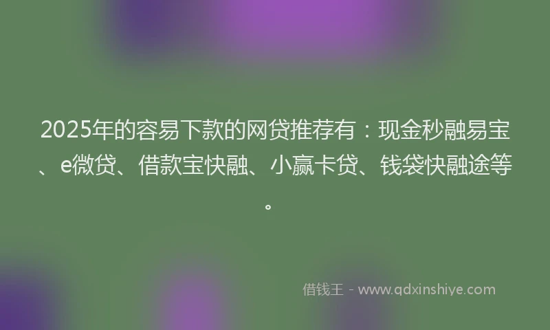 2025年的容易下款的网贷推荐有：现金秒融易宝、e微贷、借款宝快融、小赢卡贷、钱袋快融途等。