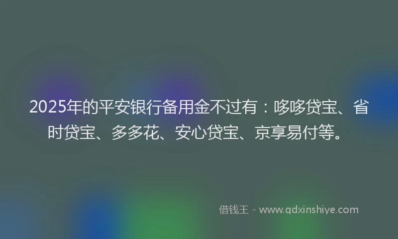 2025年的平安银行备用金不过有：哆哆贷宝、省时贷宝、多多花、安心贷宝、京享易付等。