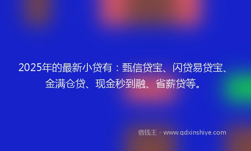 2025年的最新小贷有：甄信贷宝、闪贷易贷宝、金满仓贷、现金秒到融、省薪贷等。
