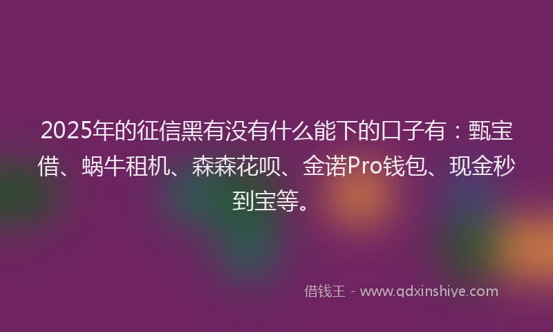 2025年的征信黑有没有什么能下的口子有：甄宝借、蜗牛租机、森森花呗、金诺Pro钱包、现金秒到宝等。