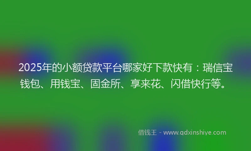 2025年的小额贷款平台哪家好下款快有：瑞信宝钱包、用钱宝、固金所、享来花、闪借快行等。