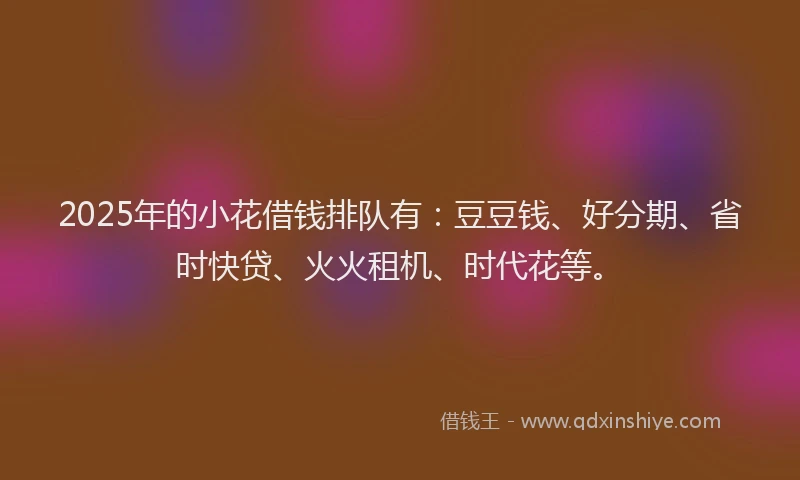 2025年的小花借钱排队有：豆豆钱、好分期、省时快贷、火火租机、时代花等。